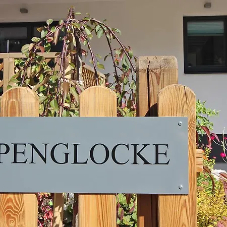 Alpenglocke By Schladming-appartements Appartement *
